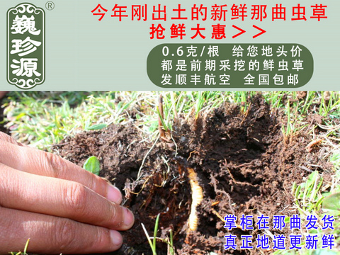 ���r���x�Ĳ����������r�x����Ρ��Դ0.6��/���^�����r�������x�Ĳ��������ڳ����������^�����r�x��