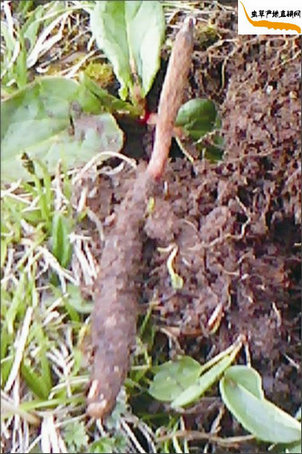 �����ڳ����Ķ��x�Ĳ�,�x��߀��������,�@�r�Ķ��x�Ĳ�Ҳ�����r���x�Ĳ�